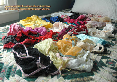 panty perv panty party
