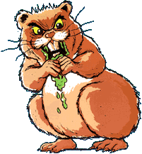 Hamster.gif