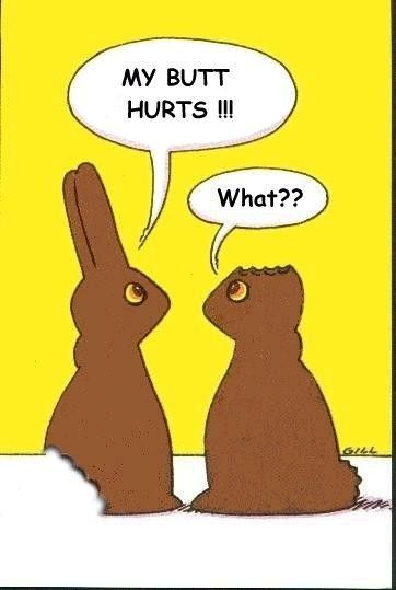 Bunny_picture