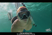 video 132exp POST 180X120.gif