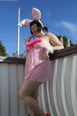 Update 342